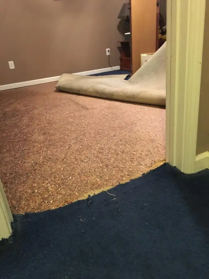 Carpet pad removal revealing water damage during Drying & Dehumidification in International Falls