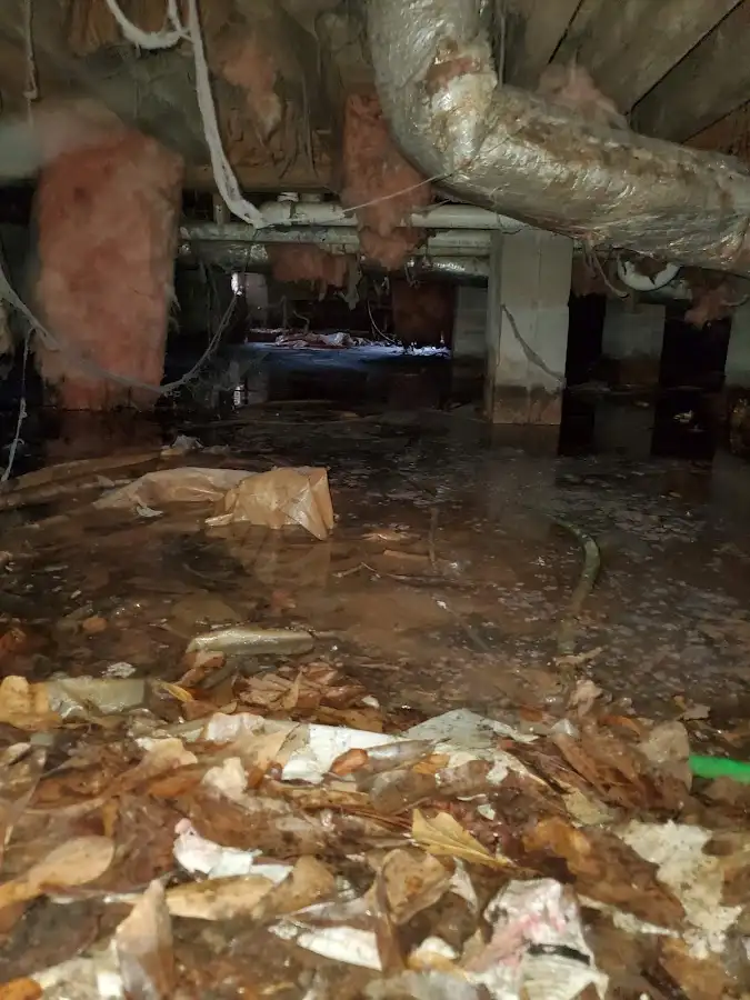 Crawl space flood assessment for Commercial Water Damage Restoration in International Falls
