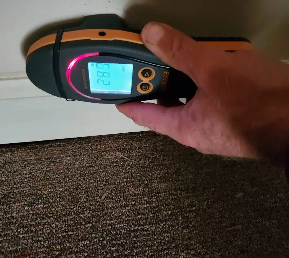 Moisture detection at baseboard during Sewage Cleanup & Sanitation in International Falls